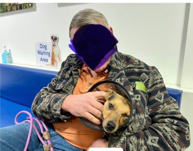 Vet waiting room.jpg