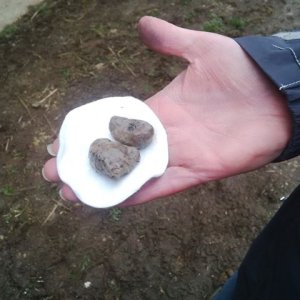 IMG_1316.jpeg IMG_1316.jpeg