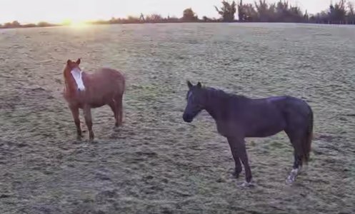 IMG_2704.jpeg IMG_2704.jpeg