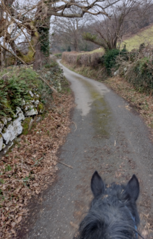 Screenshot_20250208-195901-889.png Screenshot_20250208-195901-889.png