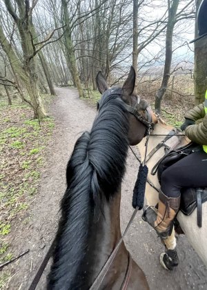 IMG_7147.jpeg IMG_7147.jpeg