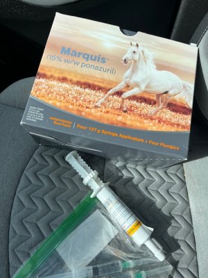 IMG_6747.jpeg IMG_6747.jpeg