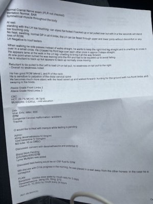 IMG_6754.jpeg IMG_6754.jpeg