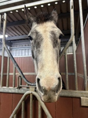 IMG_0796.jpeg IMG_0796.jpeg