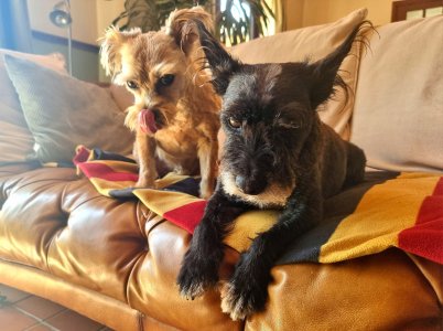 347618745_129740796740631_3618130778697199553_n.jpg 347618745_129740796740631_3618130778697199553_n.jpg