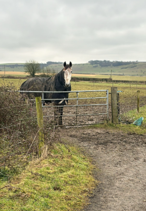 1739263949245.png 1739263949245.png