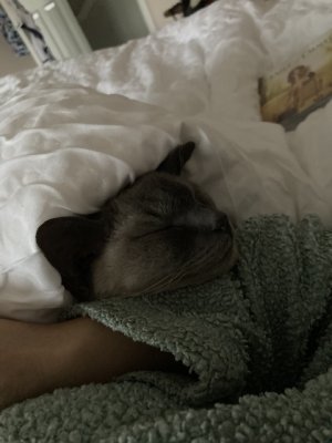 IMG_1140.jpeg IMG_1140.jpeg