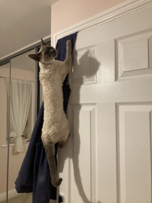 IMG_0183.jpeg IMG_0183.jpeg