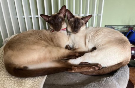 IMG_7991.jpeg IMG_7991.jpeg