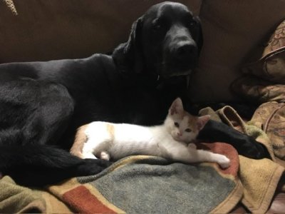 IMG_2725.jpeg IMG_2725.jpeg