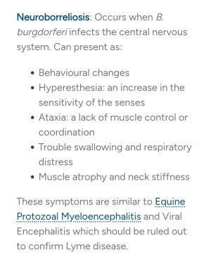 Screenshot_20250214_145853_Chrome.jpg Screenshot_20250214_145853_Chrome.jpg