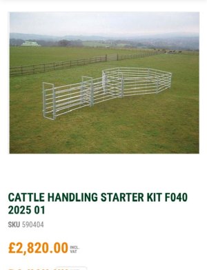 IMG_4064.jpeg IMG_4064.jpeg