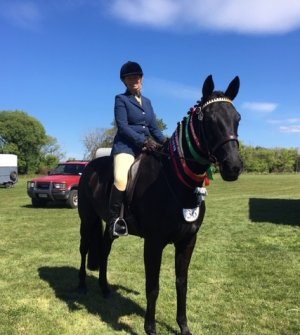 whimsy marshlands1.JPG