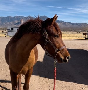 IMG_6901.jpeg IMG_6901.jpeg