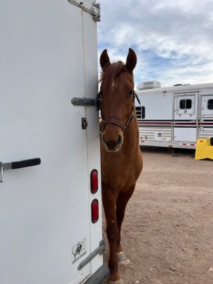 IMG_6911.jpeg IMG_6911.jpeg