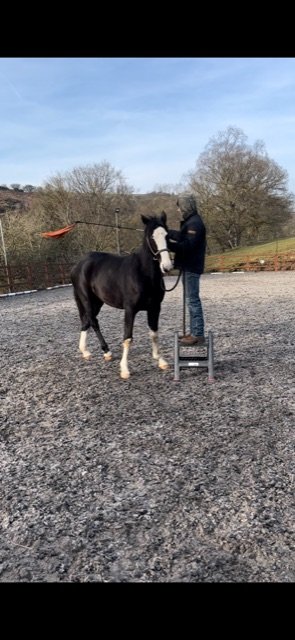 D94C8A45-BB93-4183-8F5F-95C9B5EECEF2.jpeg D94C8A45-BB93-4183-8F5F-95C9B5EECEF2.jpeg