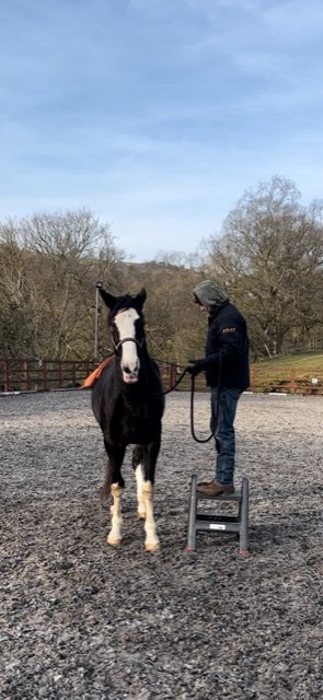 410C7839-9D64-4C70-A8EC-1C9E3878AAB8.jpeg 410C7839-9D64-4C70-A8EC-1C9E3878AAB8.jpeg