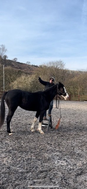 93EBBC85-7F64-4281-8B07-3DC2E50CB4E0.jpeg 93EBBC85-7F64-4281-8B07-3DC2E50CB4E0.jpeg