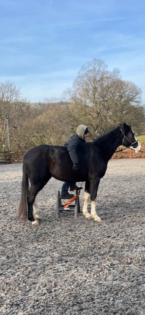 E07D07DF-8908-4FBC-96F5-CF1C63CB37C2.jpeg E07D07DF-8908-4FBC-96F5-CF1C63CB37C2.jpeg