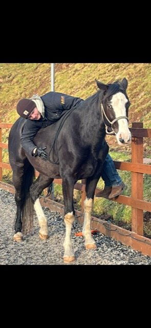 ACDBE0C3-4A68-4B19-8047-BAADA2741A7C.jpeg ACDBE0C3-4A68-4B19-8047-BAADA2741A7C.jpeg