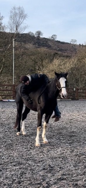 3FEAE66E-8468-4A64-A7D0-E1A7BB6EBD18.jpeg 3FEAE66E-8468-4A64-A7D0-E1A7BB6EBD18.jpeg