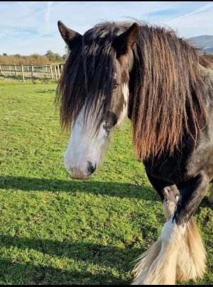 Screenshot_20250219_105929_Facebook.jpg Screenshot_20250219_105929_Facebook.jpg