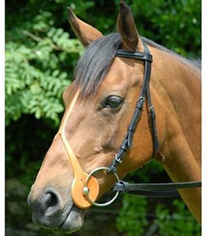 IMG_1235.jpeg IMG_1235.jpeg