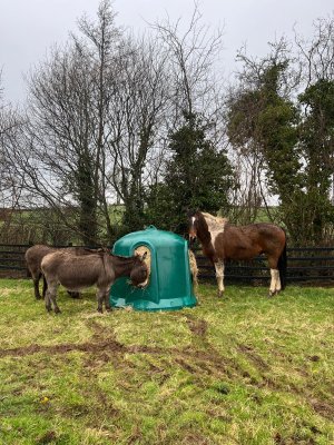 WhatsApp Image 2025-02-19 at 16.20.51.jpeg