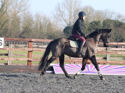 Screenshot 2025-02-19 at 11.14.15 (1).jpg