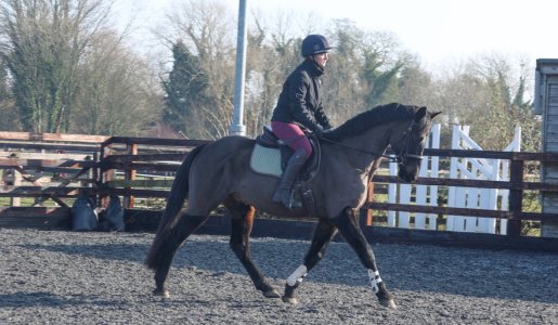 Screenshot 2025-02-19 at 11.13.41 (1).jpg