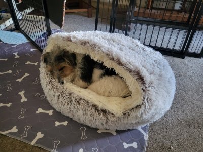 430752293_10161988993354575_7271007719011346159_n (1).jpg