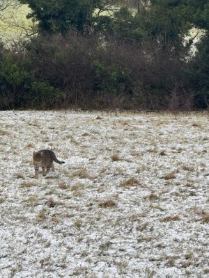 IMG_7459.jpeg