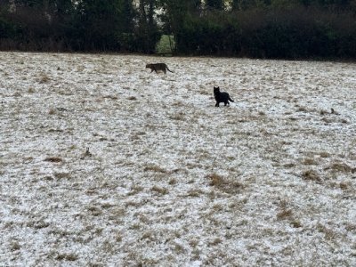 IMG_7455.jpeg