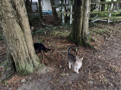 IMG_7441.jpeg
