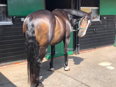 IMG_1151.jpeg IMG_1151.jpeg