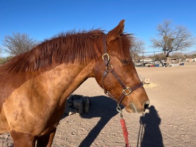 IMG_7040.jpeg IMG_7040.jpeg