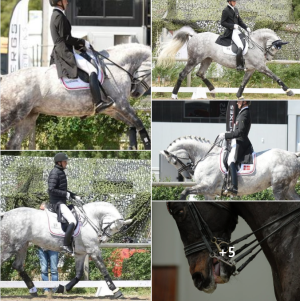 Screenshot 2025-02-21 102518.png