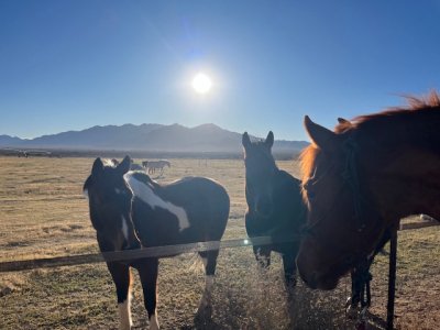 IMG_7079.jpeg IMG_7079.jpeg