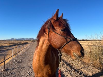 IMG_7063.jpeg IMG_7063.jpeg