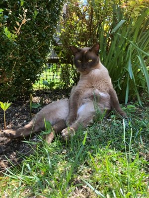 IMG_2748.jpeg IMG_2748.jpeg