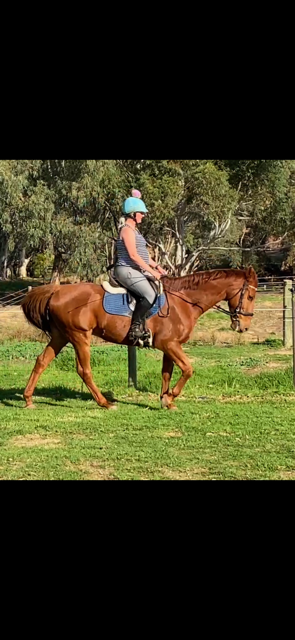 IMG_5525.png IMG_5525.png