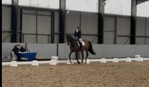 IMG_2941.jpeg IMG_2941.jpeg