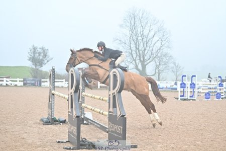 IMG_2630.jpeg IMG_2630.jpeg