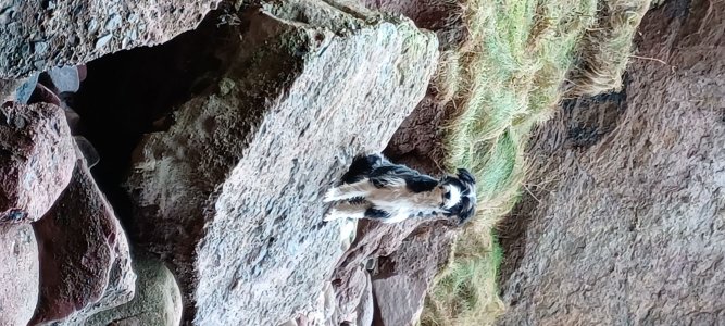 20250218_152733_vAYzwBMJ5P.jpeg 20250218_152733_vAYzwBMJ5P.jpeg