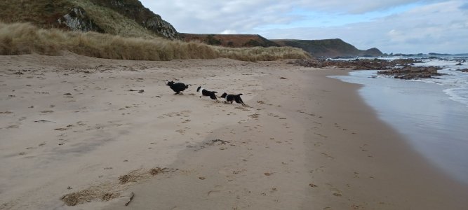 20250216_133234_aBtxPAd45U.jpeg 20250216_133234_aBtxPAd45U.jpeg