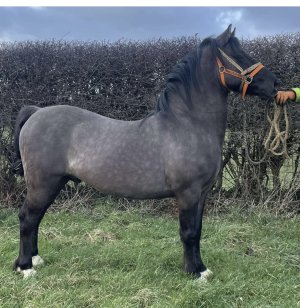 F905ECDB-33D5-48DA-9712-DA5F4204A30F.jpeg F905ECDB-33D5-48DA-9712-DA5F4204A30F.jpeg