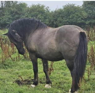 2CF51BB4-FDBF-4E51-86A1-147FCE4AA047.jpeg 2CF51BB4-FDBF-4E51-86A1-147FCE4AA047.jpeg