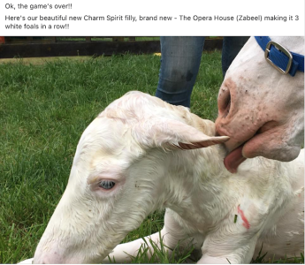 Screenshot 2025-02-24 at 17.24.56.png