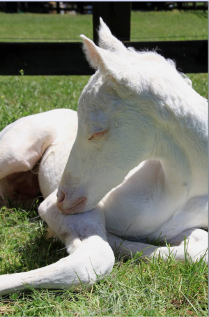 Screenshot 2025-02-24 at 17.25.08.png