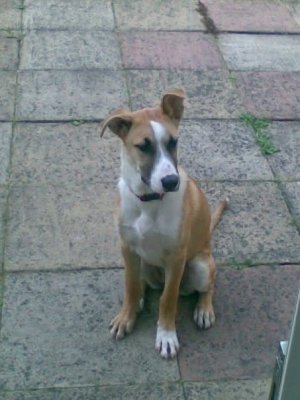 IMG_9706.jpeg IMG_9706.jpeg